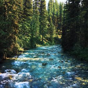 passing through the portal