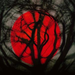 WICKED (feat. Isaiah Green) (Explicit)