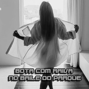 BOTA COM RAIVA NO BAILE DO PARQUE (Explicit)