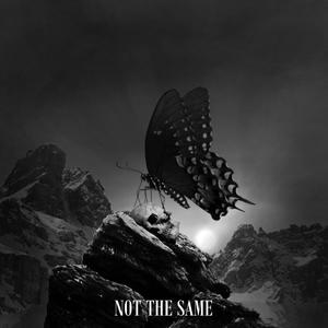 Not the same (Explicit)