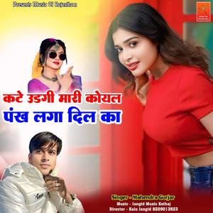 Kate Udagi Mari Koyal Pankh Laga Dil Ka