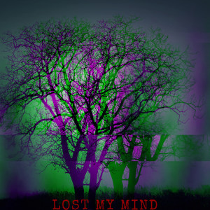 LOST MY MIND (Explicit)