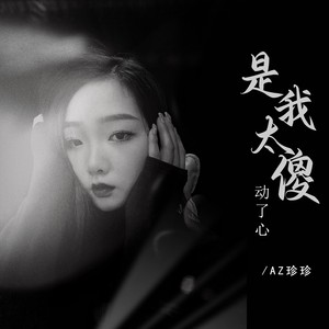 是我太傻动了心 (伴奏)封面