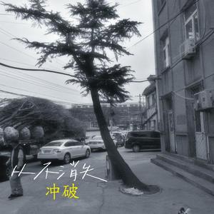 从不消失