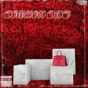 Birkin Bag (Explicit)