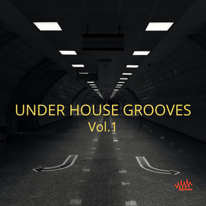 Under House Grooves, Vol.1