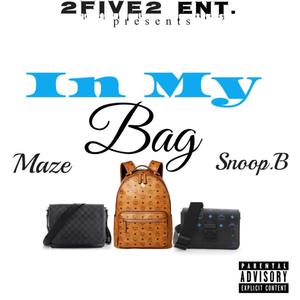 In My Bag (feat. Snoop B) [Explicit]