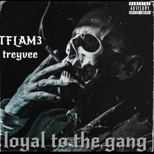 Loyal To The Gang (Explicit)