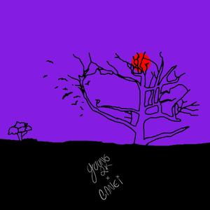 Noite Escura (feat. Canei) (Explicit)