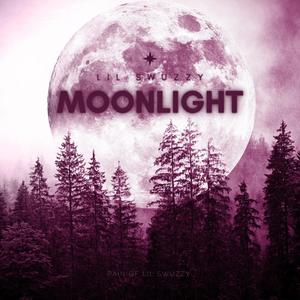 Moonlight (Explicit)