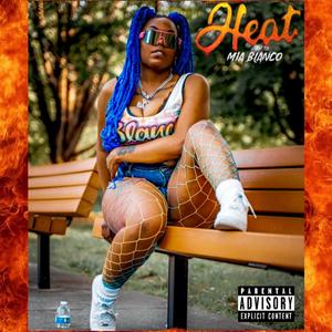 HEAT (Explicit)