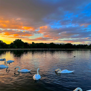 马踏富士赏樱花（Fast rhythm）-旋律刺客