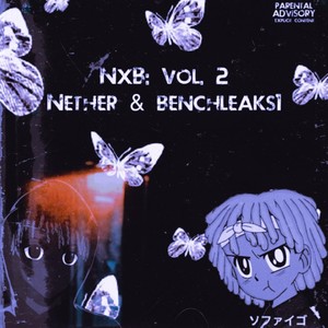 Fiji(Slowed + Reverb) (Explicit)