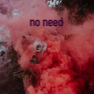 No Need (feat. Jam Jam the Viking & Anna Mia)