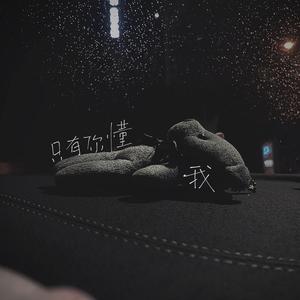 只有你懂我