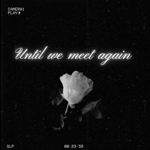 Until We Meet Again (Explicit)