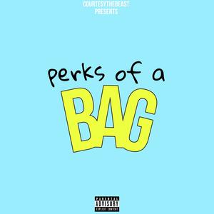 Perks of a bag (Explicit)