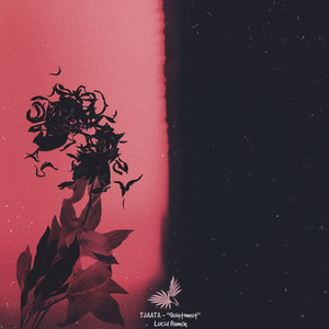 Ayirad (Lucid Remix)