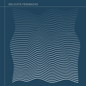 Delicate Feedbacks