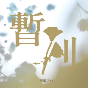 暂别封面