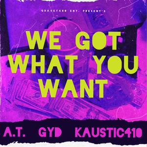 We Got What You Want (feat. Kaustic410) [Explicit]