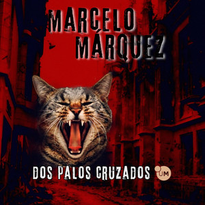 Sentimientos que no Sienten