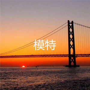 原来你只是一个过客 (DJ版)
