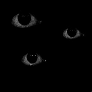 Wrong Story (feat. 42che) (Bonus|Explicit)