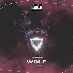 WOLF (Explicit)