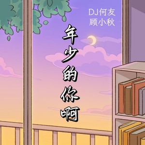 年少的你啊（DJ何友版）