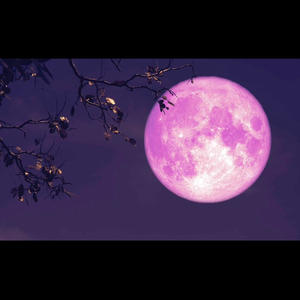 paradise (feat. dmac) (Explicit)