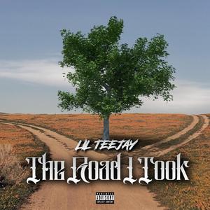 THE ROAD I TOOK (T.R.I.T) [Explicit]