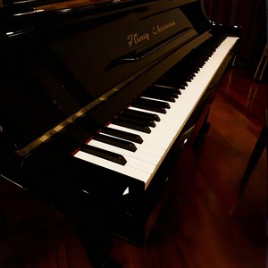 婚礼进行曲 (钢琴版)封面