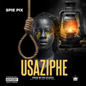 USAZIPHE