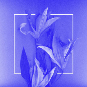 Let Them Melt(Chevals Midnight Edit)