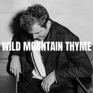 Wild Mountain Thyme