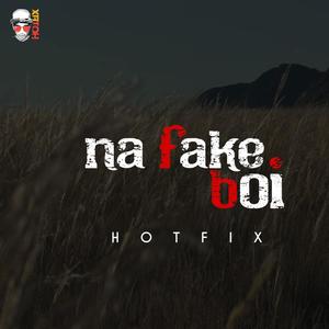 Na Fake Boi