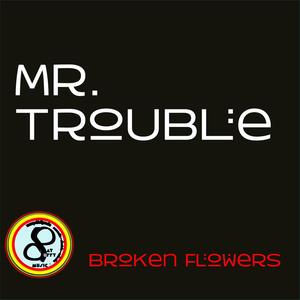 Mr Trouble