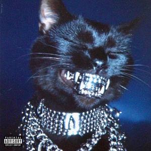 Cops I'm Passing (Explicit)