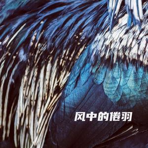 风中的倦羽