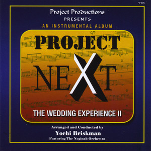 Project NeXt - The Wedding Experience II