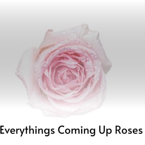 Everythings Coming up Roses