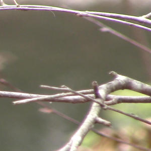 my fav bad decisions wear fishnets (Explicit)