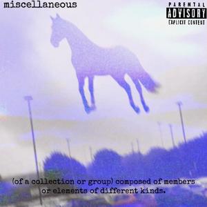 miscellaneous 01 (Explicit)
