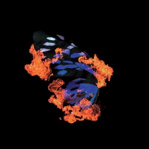 NoKliché - Butterflies