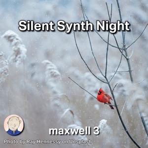 Silent Synth Night