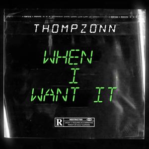 When I Want It (Explicit)