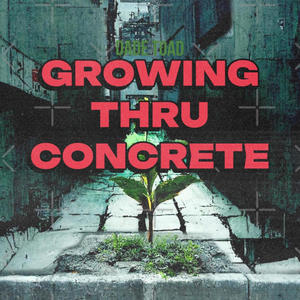 Growing Thru Concrete (Explicit)