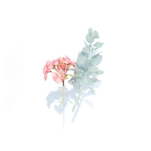 Happy Xmas(War Is Over)