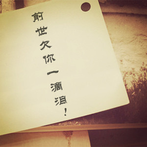 前世欠你一滴泪